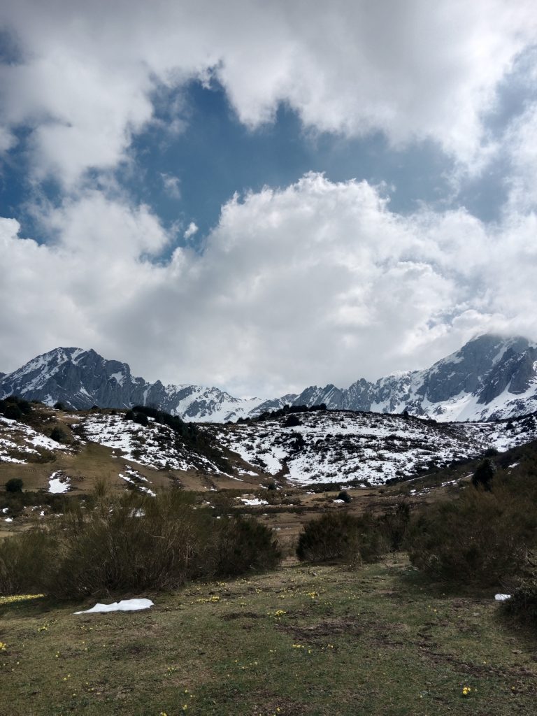puertos de agueria final