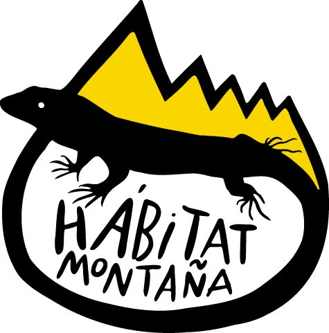 logo transparente medio