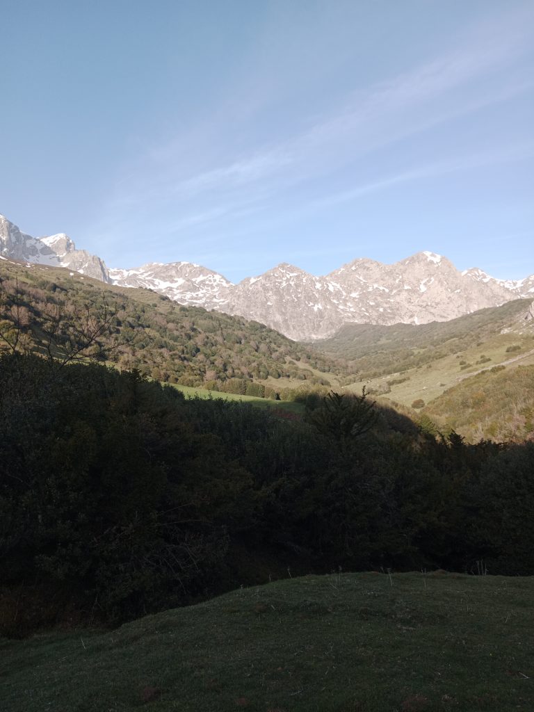 picos de agüeria